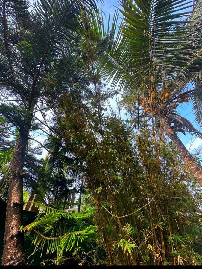 Royal Beach Villa Unawatuna Eksteriør billede
