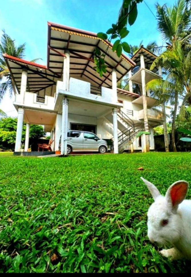Royal Beach Villa Unawatuna Eksteriør billede